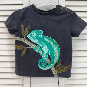 Jarvis archer size 12M grey chameleon tee